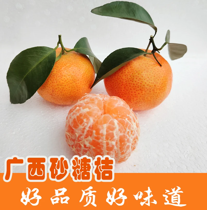 广西正宗沙糖桔产地现摘现发优质砂糖桔皮薄多汁纯甜可口新鲜水果