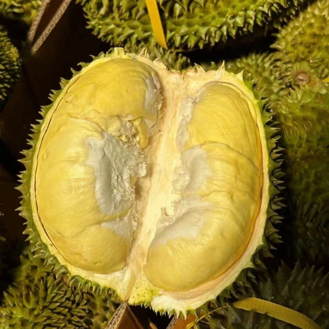 金枕榴莲  一果一拍