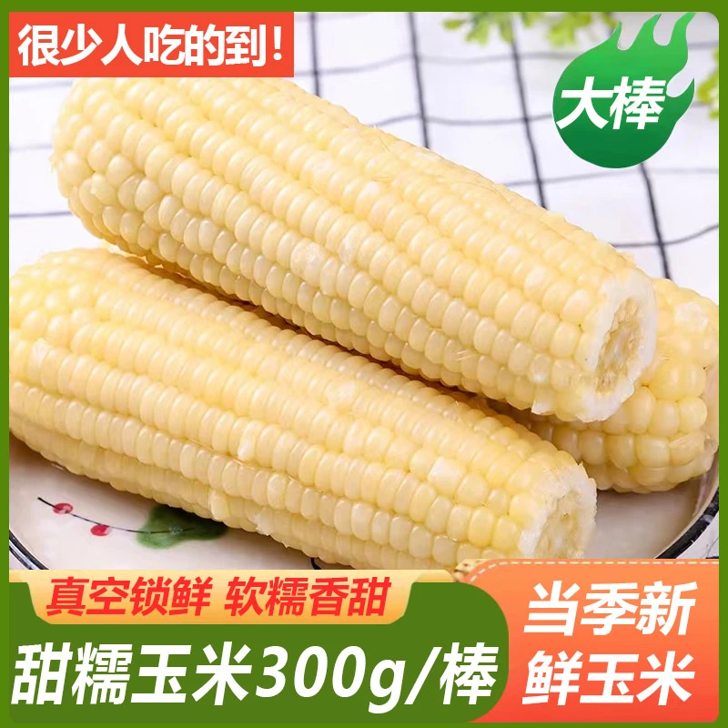 新鲜白糯甜粘玉米棒真空包装加热即食粗粮代餐香甜黏东北苞米