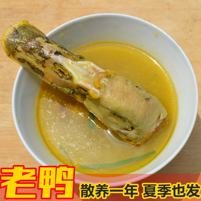 固始麻鸭水库农家散养土鸭大公鸭草鸭正宗农家老公鸭现杀顺丰包邮