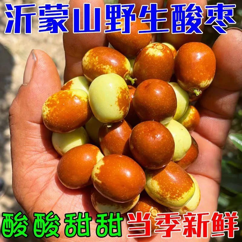 山东沂蒙山新鲜酸枣2斤5斤一箱