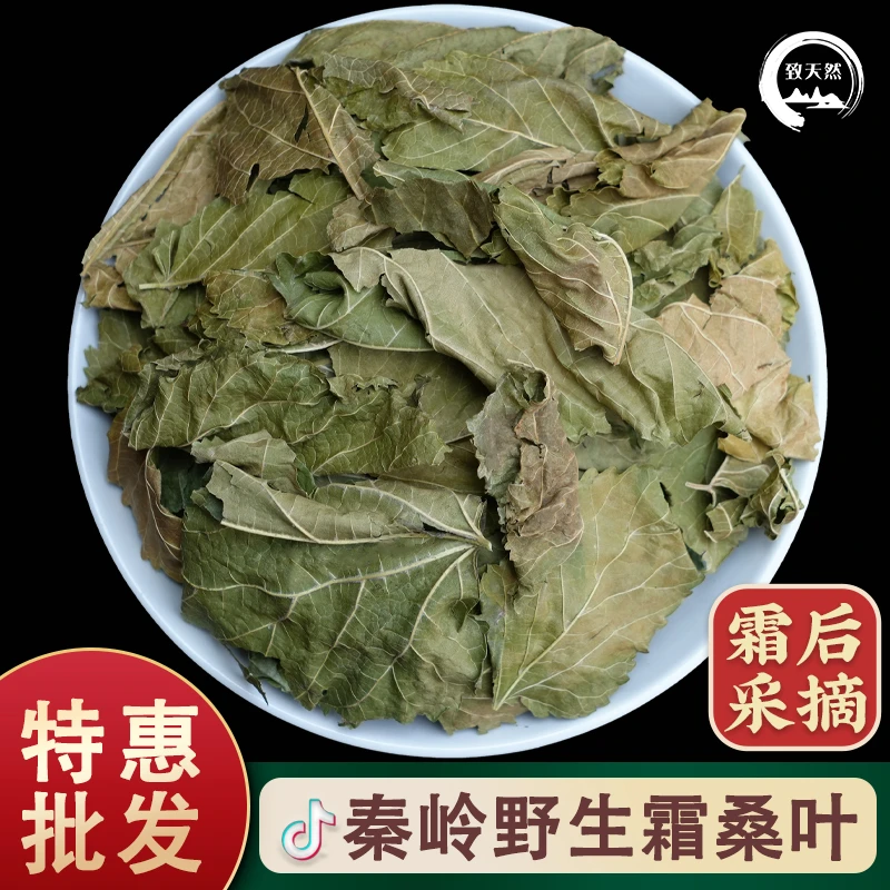 旗舰店正品霜桑叶桑树叶新鲜干桑叶霜降秋后霜打桑叶泡水