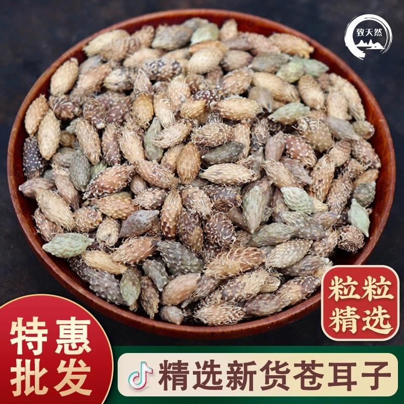 秦岭野生苍耳子新货苍耳粒鼻子塞去毛刺本色毛苍子农产品泡脚枣
