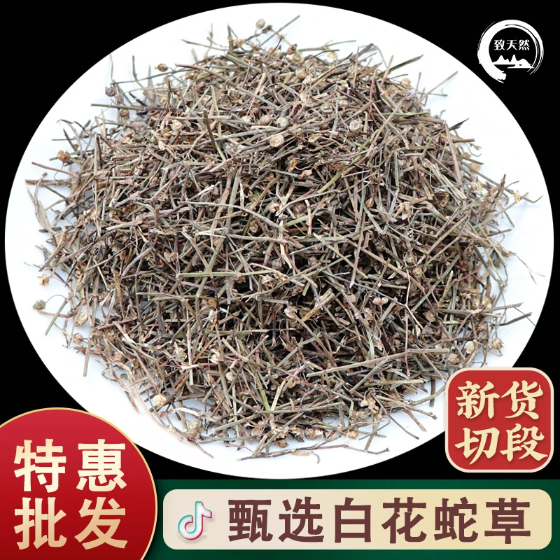 精选新切白花蛇舌草新货干品栆农产品白花蛇舌草泡水作用干净