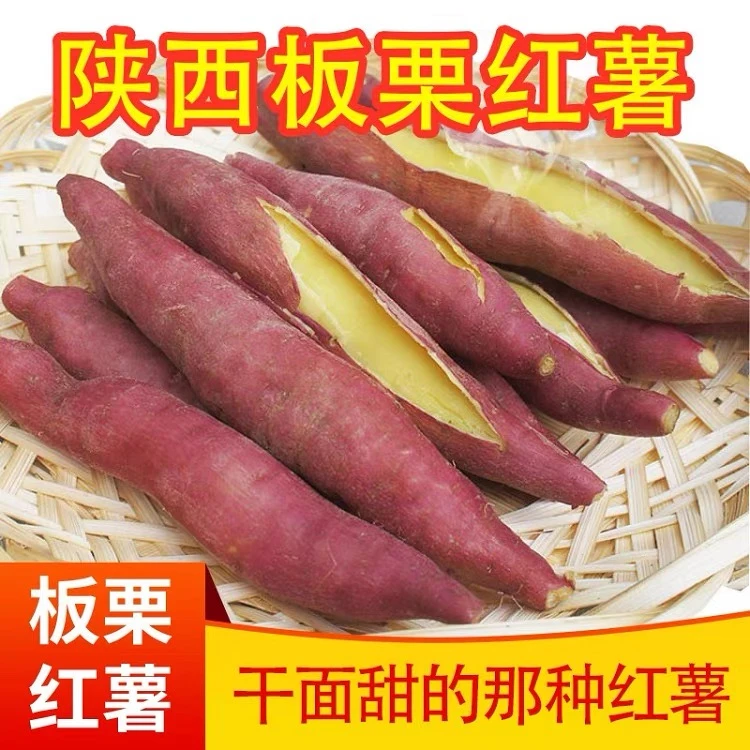 陕西宝鸡虢王板栗红薯9斤现挖现发原产地种植新鲜甘甜
