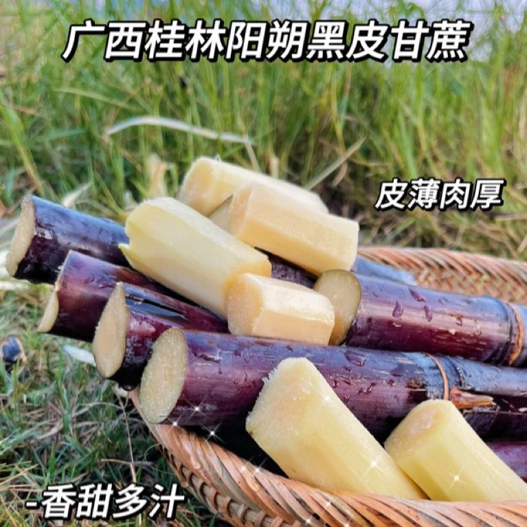 桂林阳朔黑皮甘蔗爆甜多汁松软可口皮薄厚肉 现砍现发