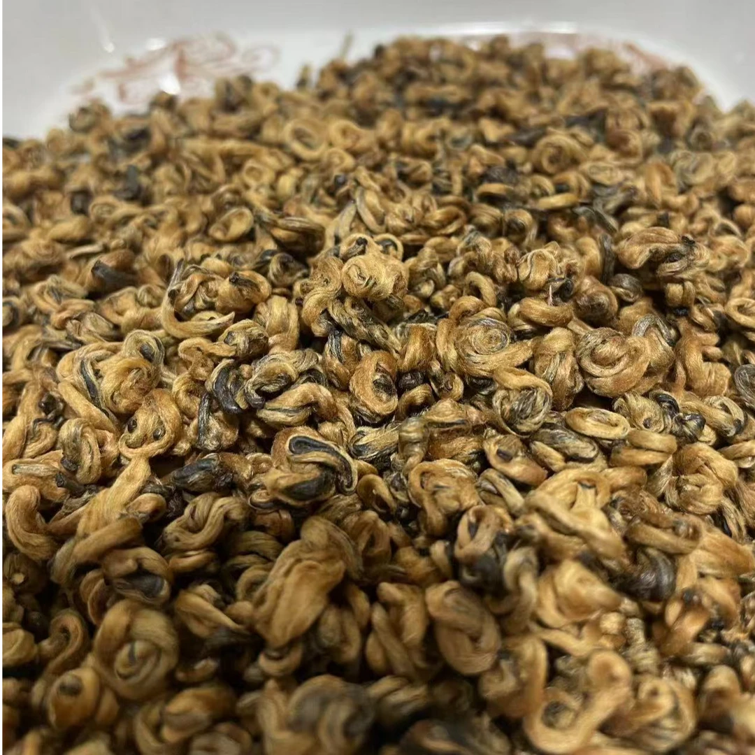 【2024年】滇红茶古树蜜香金螺茶特级云南凤庆正宗老树