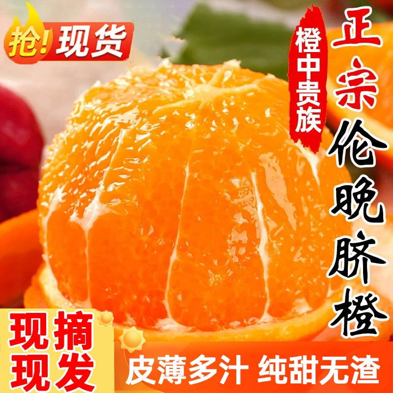 【大果10斤】湖北秭归伦晚春橙脐橙新鲜香甜细腻皮薄脆嫩爆甜多汁