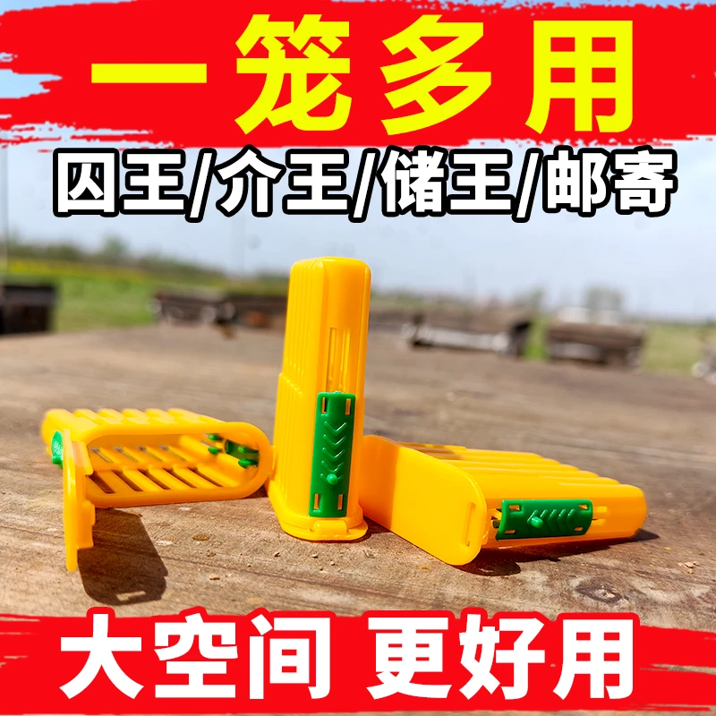 多功能新型囚王笼中意蜂通用关王换王囚控王笼加厚防蜂群飞逃蜂具