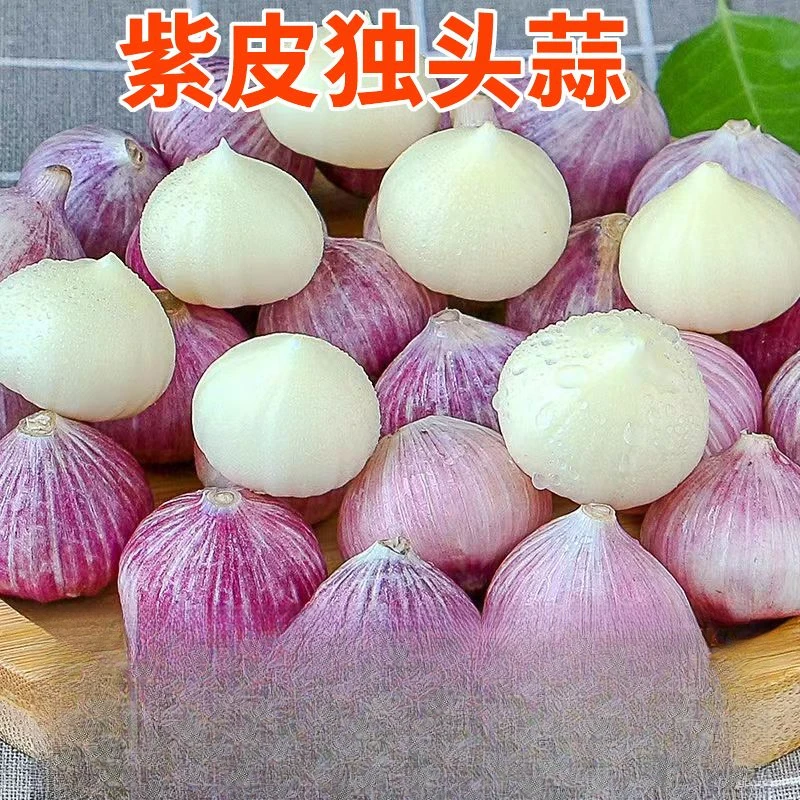 【超低价】紫皮蒜独头蒜紫皮独蒜头蒜头新鲜湿蒜紫皮2/3/5斤包邮
