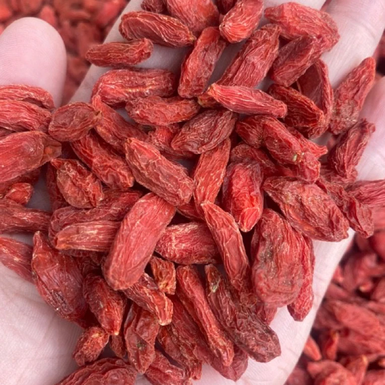 【小梅推荐】宁夏红枸杞大颗粒