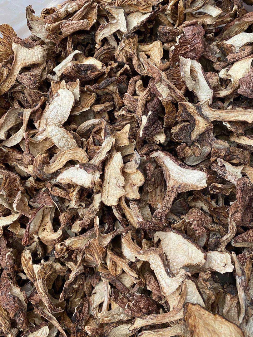 【西藏收货】西藏山货青冈菌