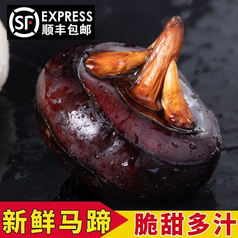 马蹄荸荠新鲜5斤现挖湖北农家土特产荠孛马蹄果地栗顺丰包邮