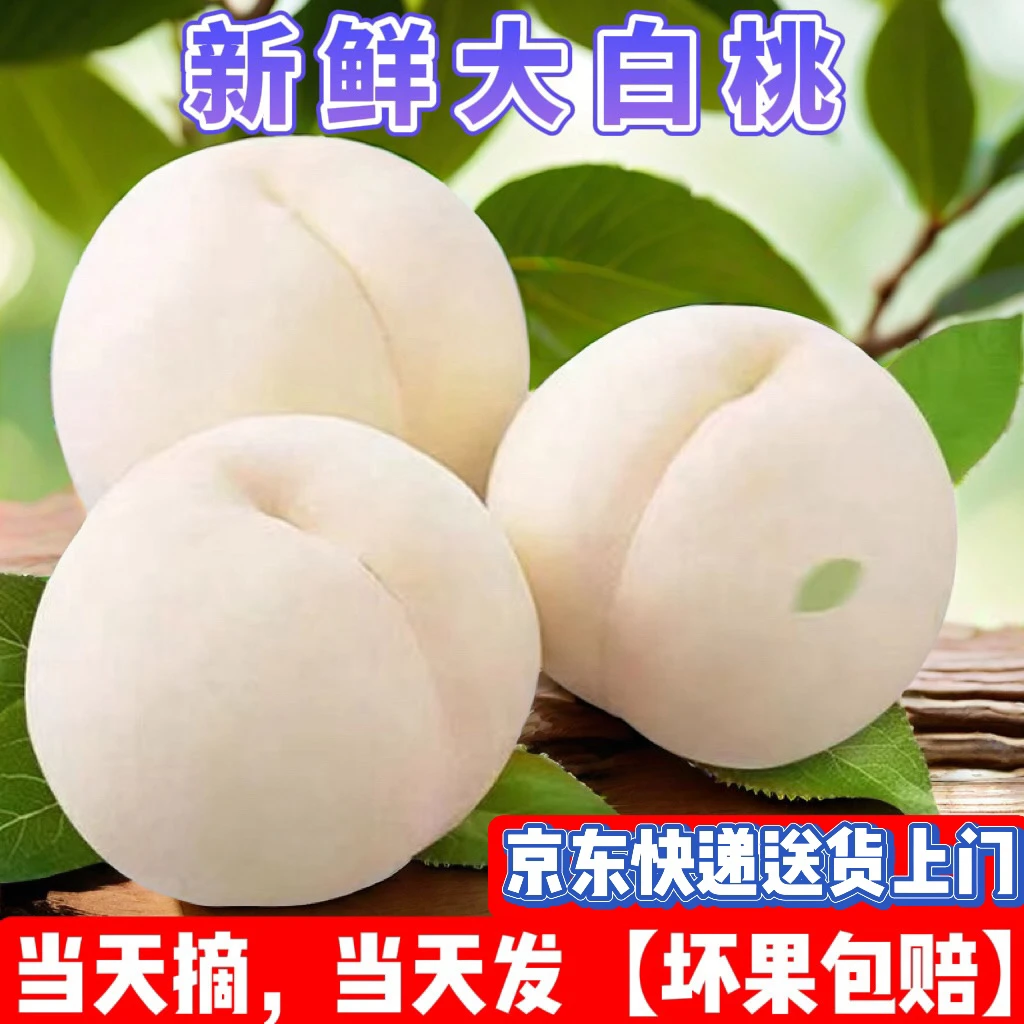 【京东包邮】河南濮阳农家果园当季水果中秋王大白桃水蜜桃鲜甜多汁
