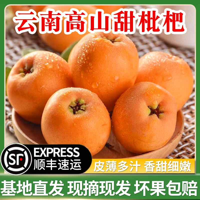 云南高山甜枇杷新鲜水果米易枇杷皮薄肉厚多汁现摘甜枇杷3斤起