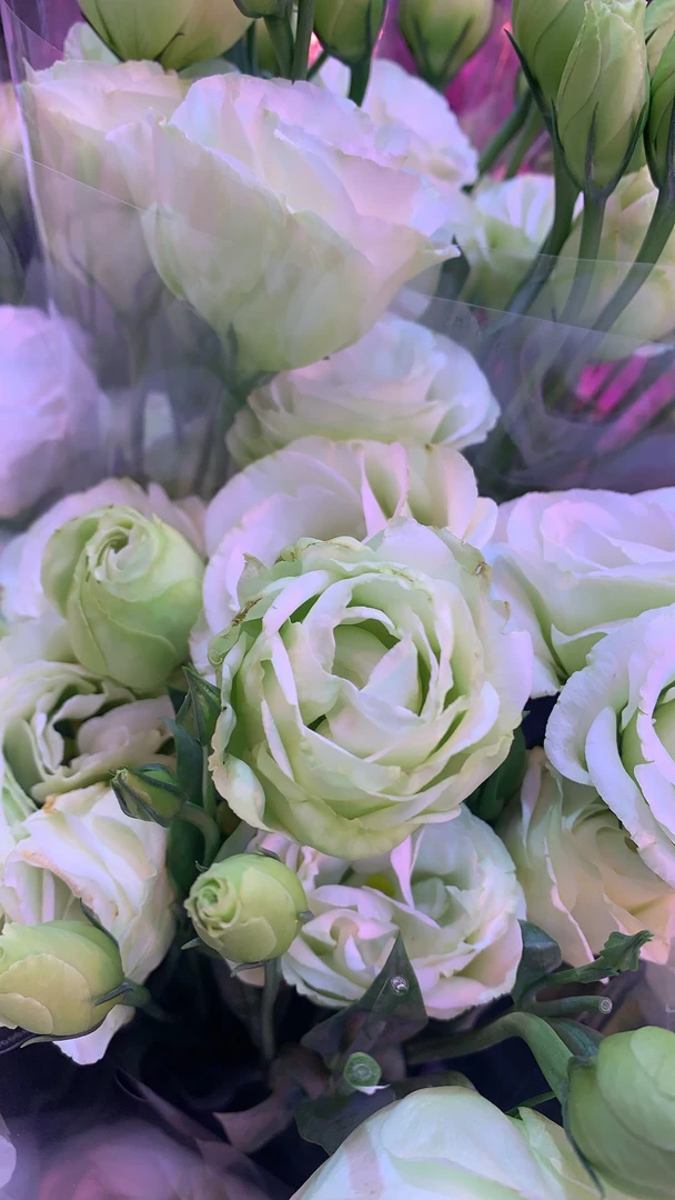 【喜运来鲜花】随机发货