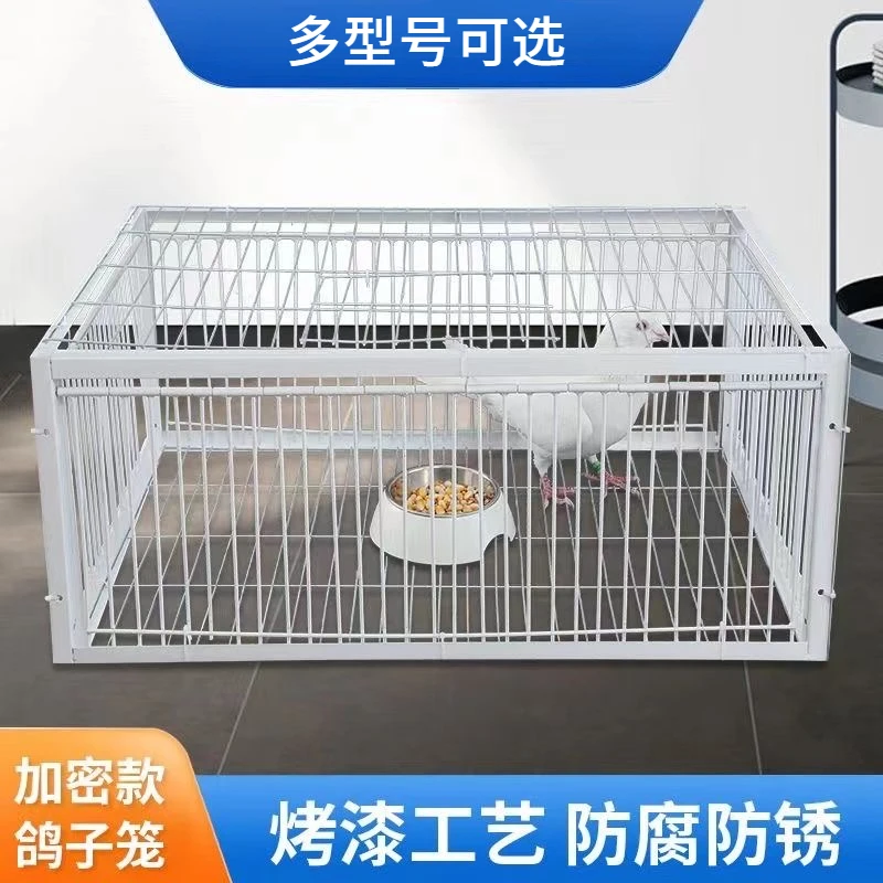 鸽笼家用喂养鸽子笼结实加密防走失鸽笼鸡笼防锈鸽笼鸽具喂鸡神器