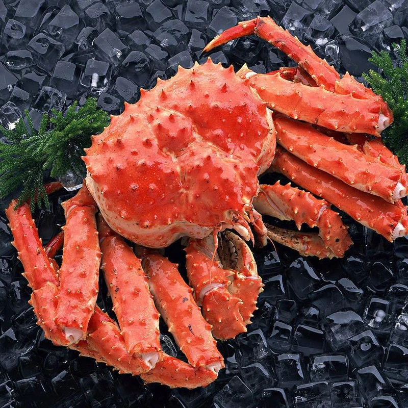 【老田专属】今锦上智利熟冻帝王蟹肉质鲜嫩饱满1.4-1.6kg/只