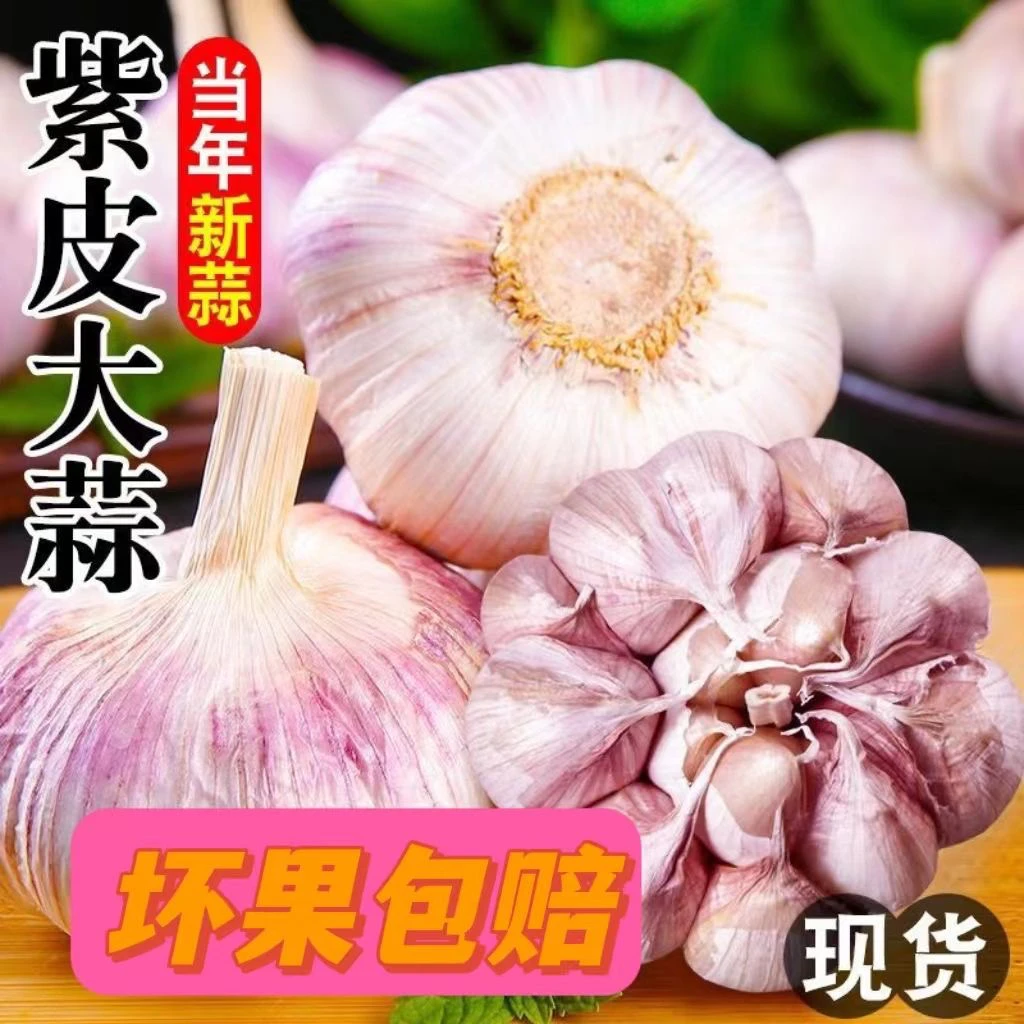 农家自种紫皮干大蒜头自然晾晒十足干货