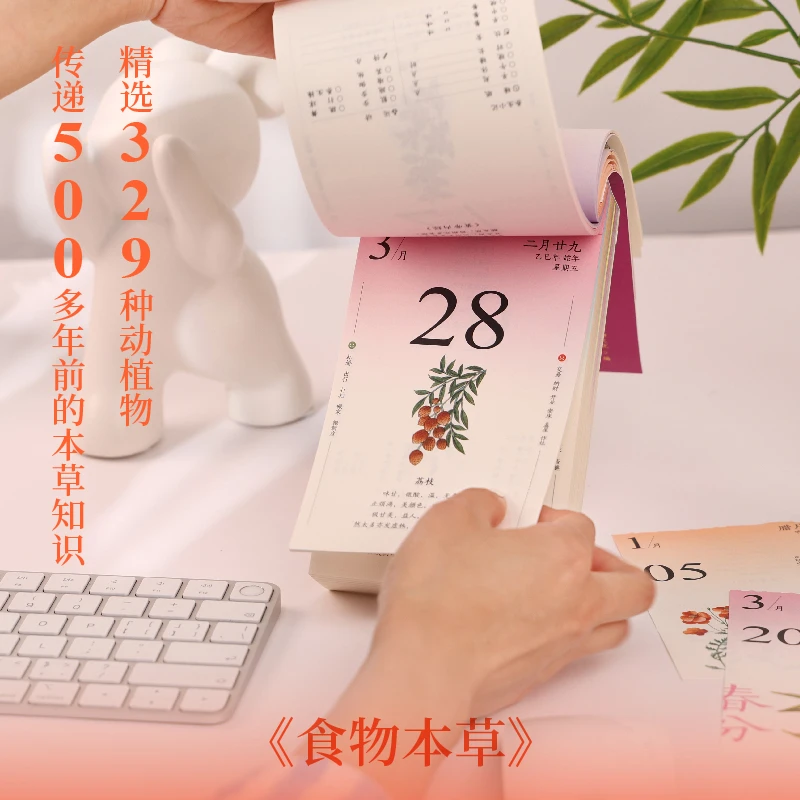 顺时而养·2025年日历