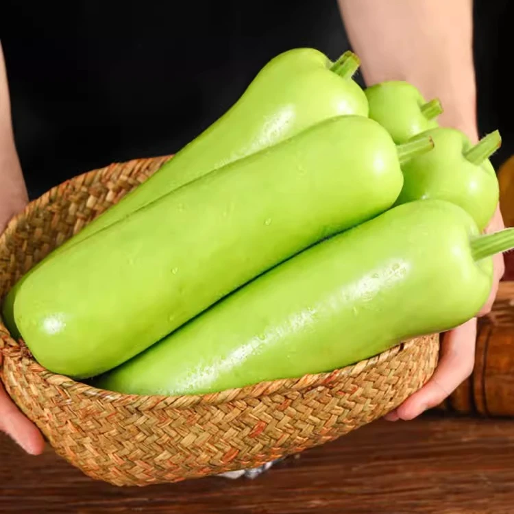湖南永州农家自种新鲜瓠子瓜嫩蒲瓜西葫芦瓜细嫩时令蔬菜当季现摘