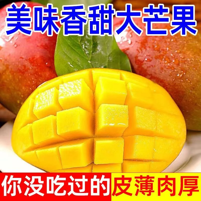 【5斤大果400g起3-7个】攀枝花凯特大芒果产地直发新鲜采摘CC