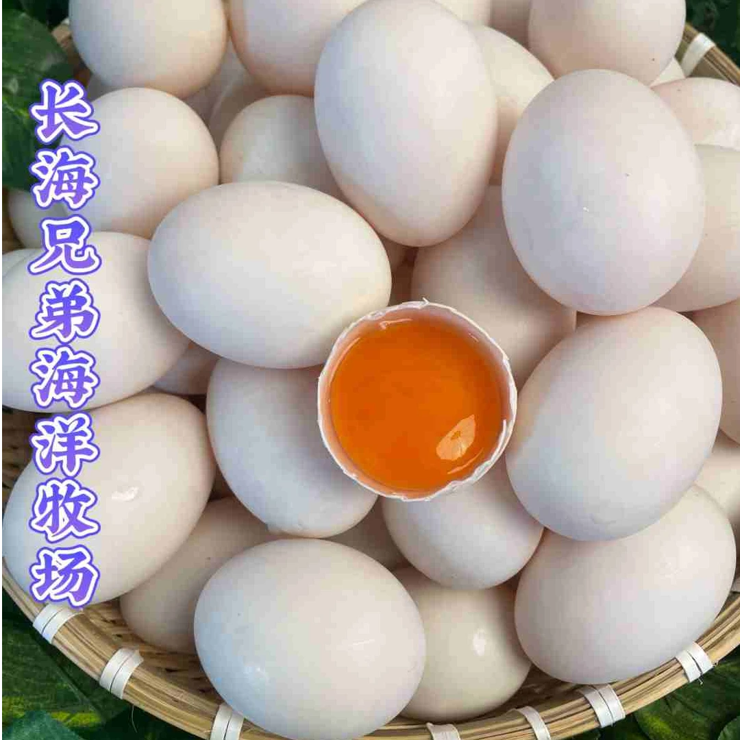 【长海县】广鹿岛鲜海鸭蛋20枚防震防寒蛋托农村顺丰发货