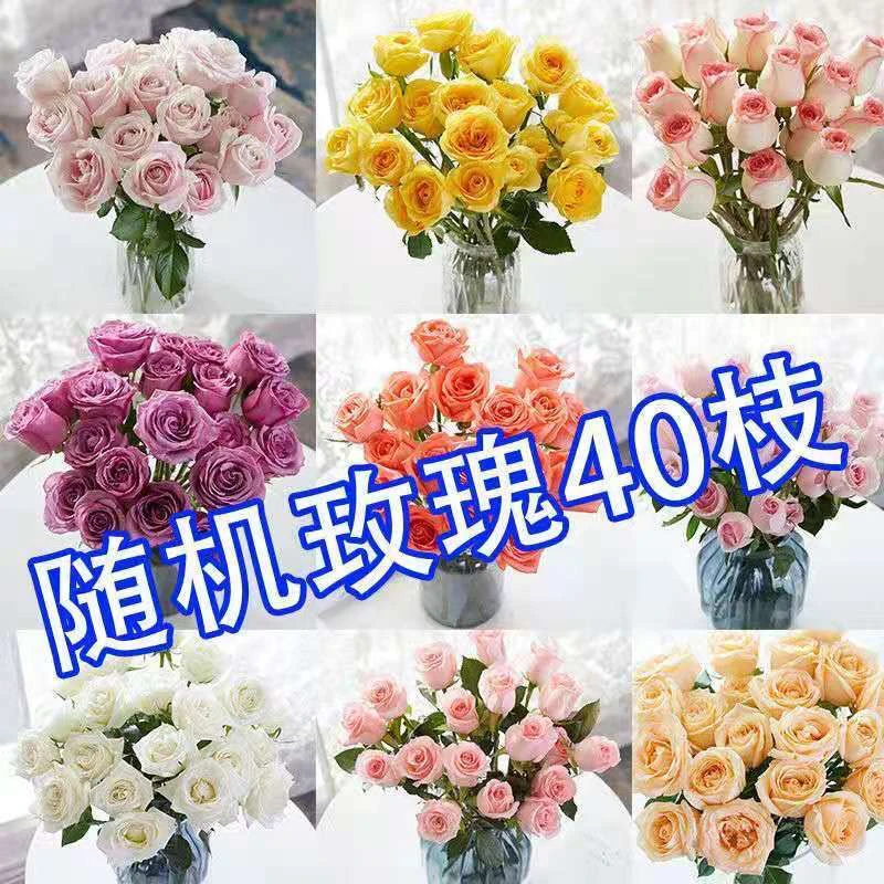 顺丰包邮云南昆明斗南鲜花基地直采直发新鲜玫瑰毕业六一水养花束