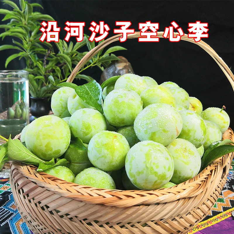 【顺丰】沙子空心李脱骨李脆甜鲜果重大果5斤左右现摘现发新鲜水果