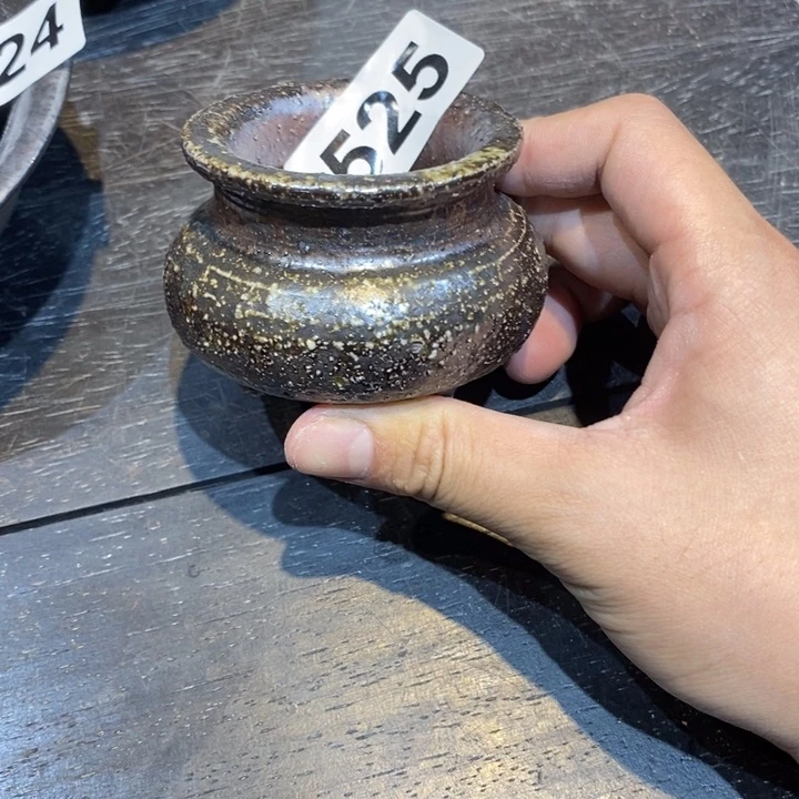 茶盏啦啦啦啦啦啦啦啦啦525