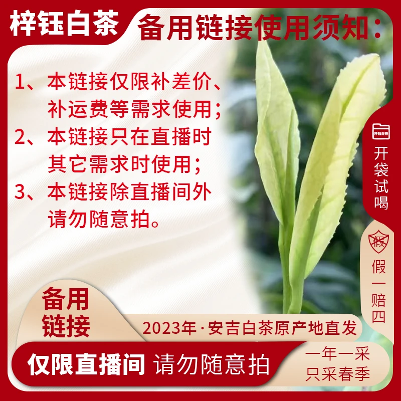 【2024新茶】备用链接安吉高山白茶正味兰花香鲜爽回甘