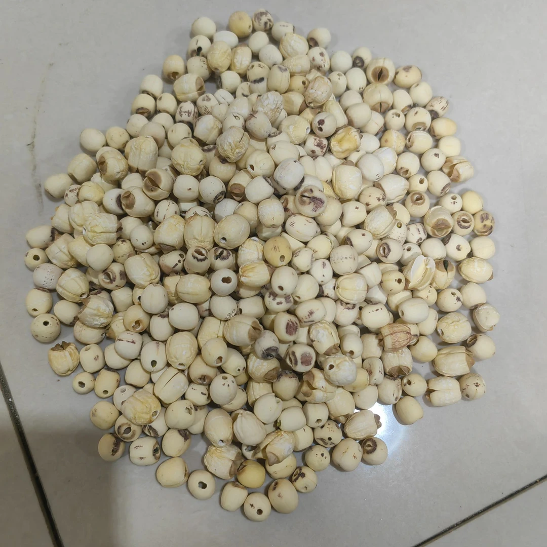 莲子去芯干净无杂质自然凉晒万福堂