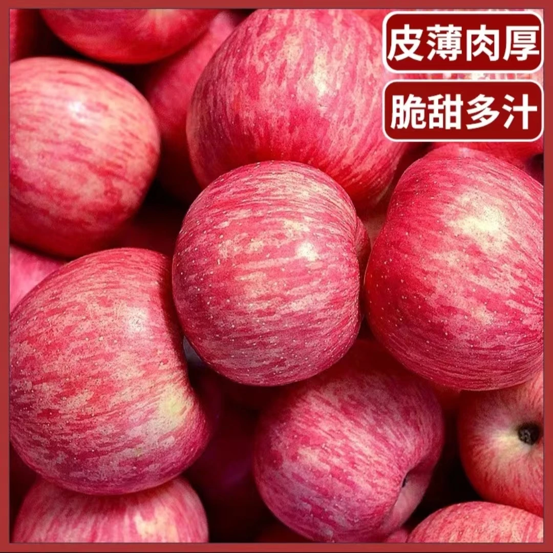 正宗陕西洛川苹果新鲜当季现摘脆甜多汁整箱山地天然原生态重量