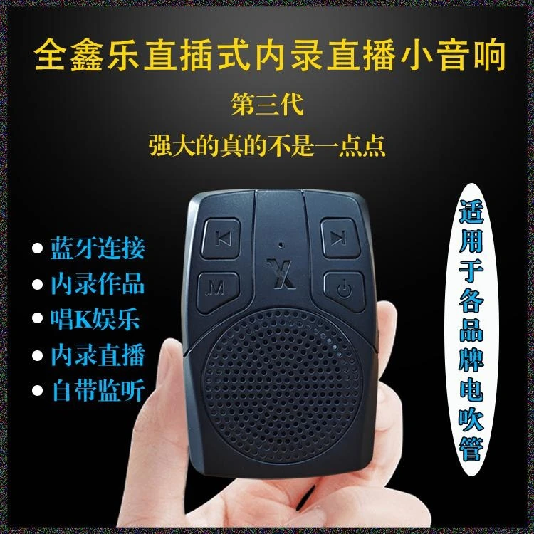 全鑫乐直插式电吹管小音箱