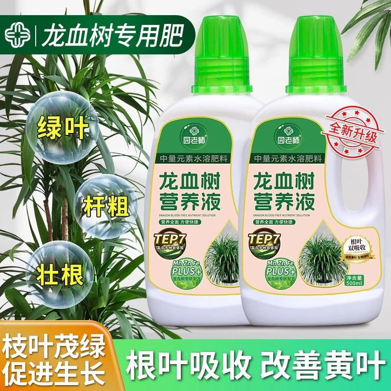 园老师龙血树专用营养液掉黄叶增肥催芽养花枯叶绿植盆栽室内浓缩