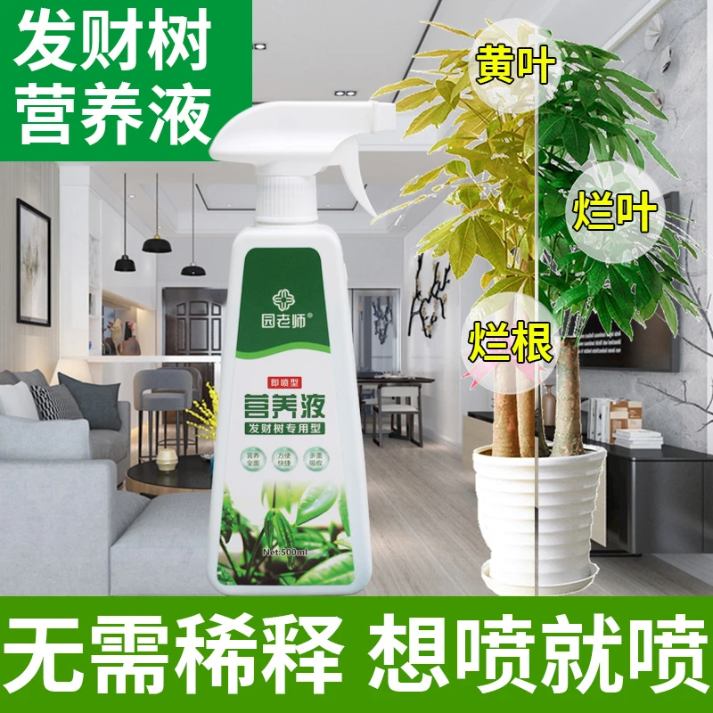 发财树营养液专用花肥料植物植物通用型金钱树发财树盆栽室内家用