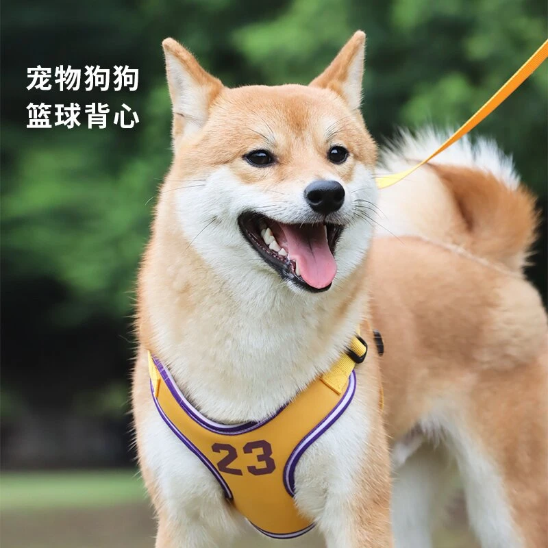 新款狗狗牵引绳篮球风宠物胸背中型犬背带柴犬柯基比熊泰迪遛狗绳