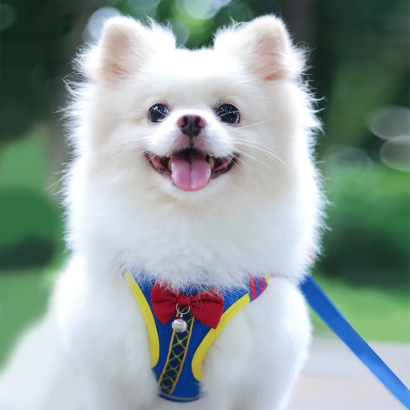 猫咪出行通用宠物牵引绳公主背心式防挣脱泰迪比熊博美舒适胸背带