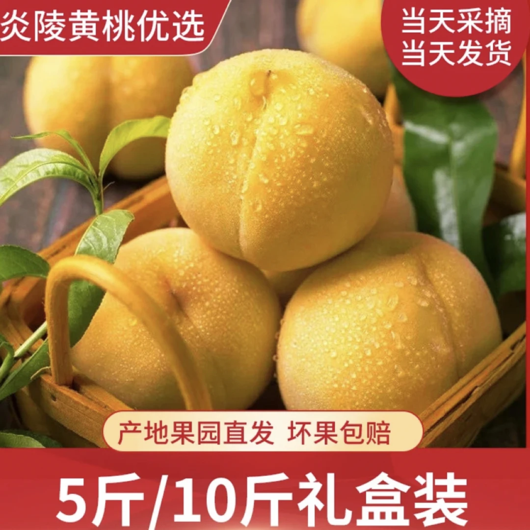 正宗炎陵黄桃湖南株洲高山果园产地直发香甜脆红心现摘现发