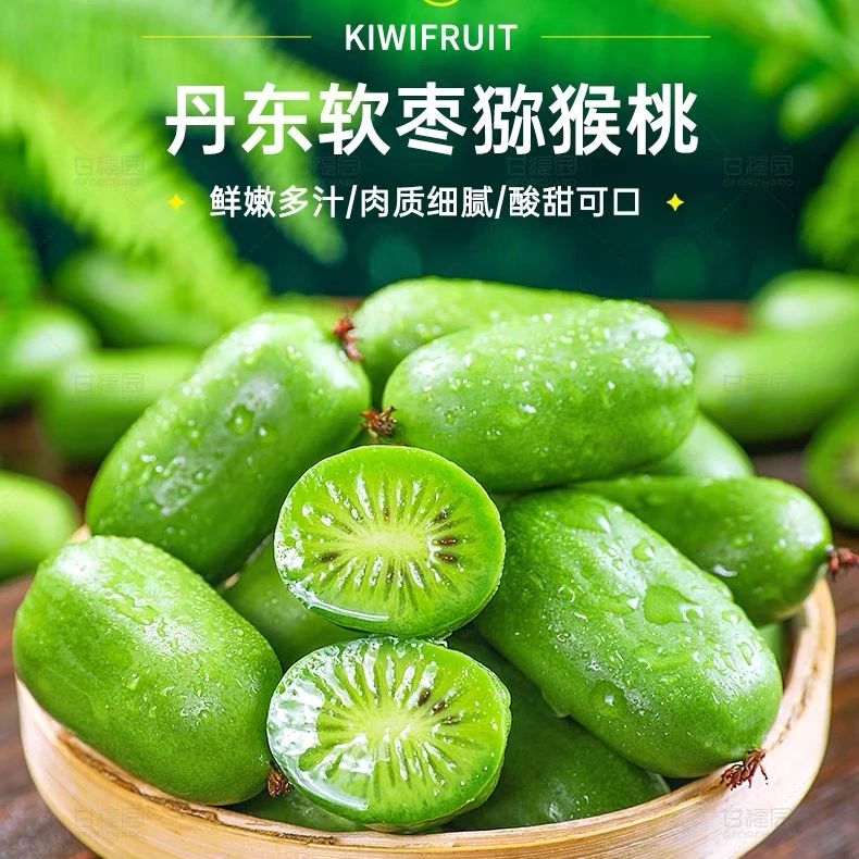 《顺丰包邮》丹东特产软枣小猕猴桃奇异莓现摘现发产地直发包邮到家