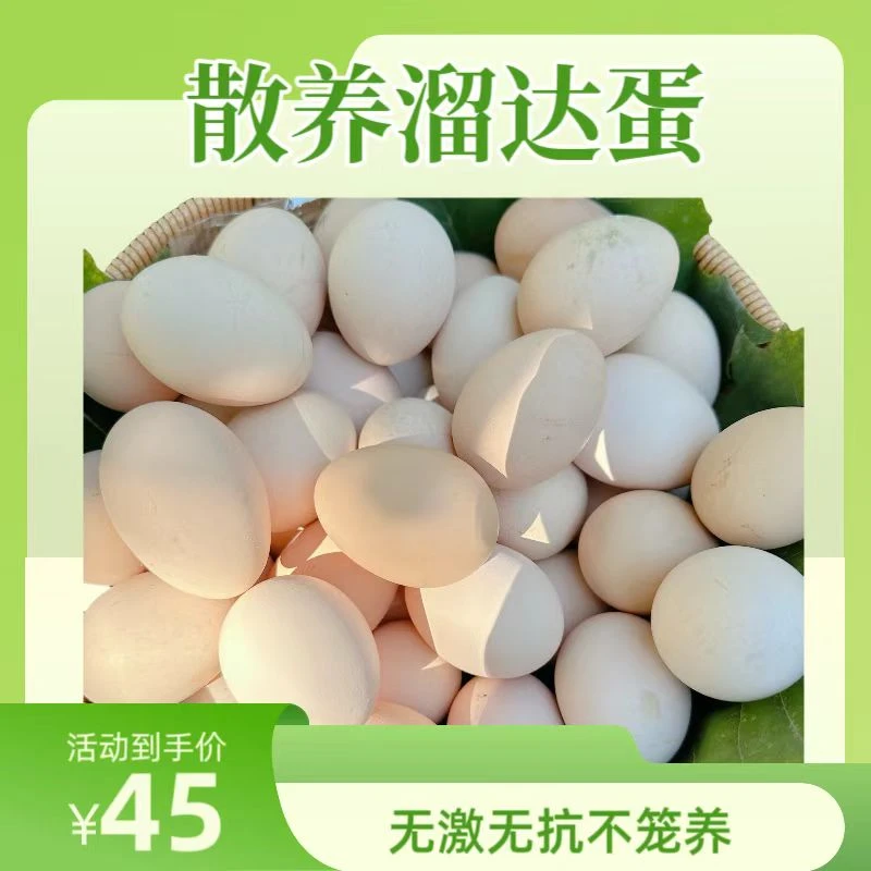 林地天然纯粮散养溜达蛋柴鸡蛋30枚