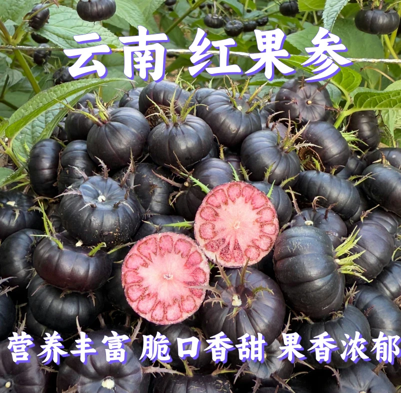 【顺丰包邮】云南脆甜爽囗红果参蜘蛛果清甜多汁