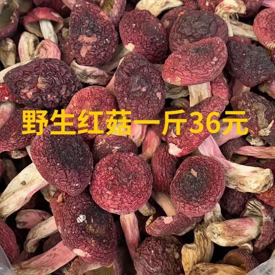 【小扬哥力荐】福建武夷山红菇野生红菇红蘑菇干货