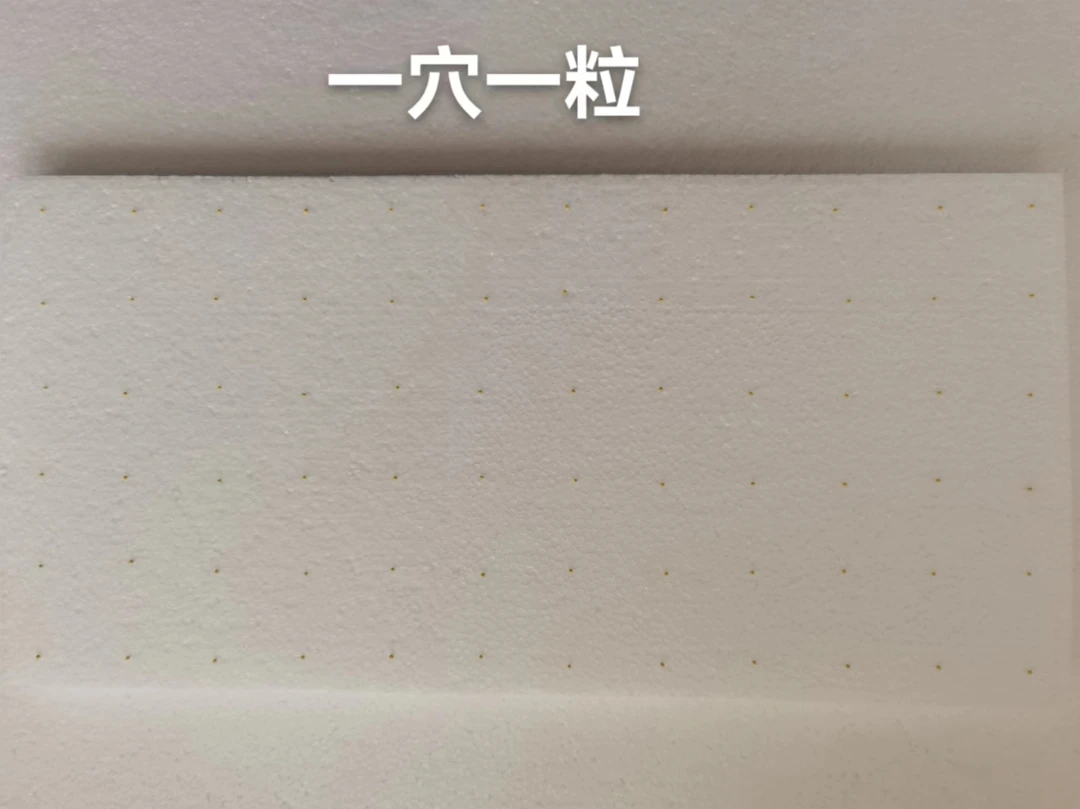 朴氏穴盘播种器西兰花散花甘蓝十字花科圆粒种子椭圆形种子漂浮盘
