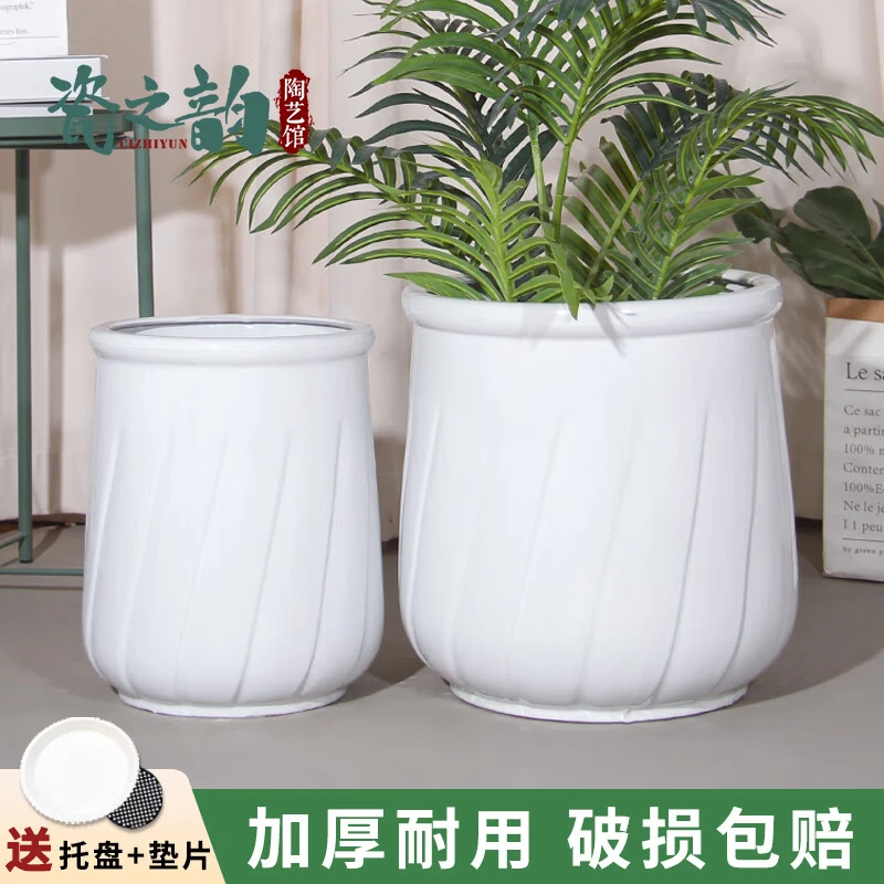 高颜值欧式耐用陶瓷大花盆纯白现代种树庭院天堂鸟幸福树公司家用