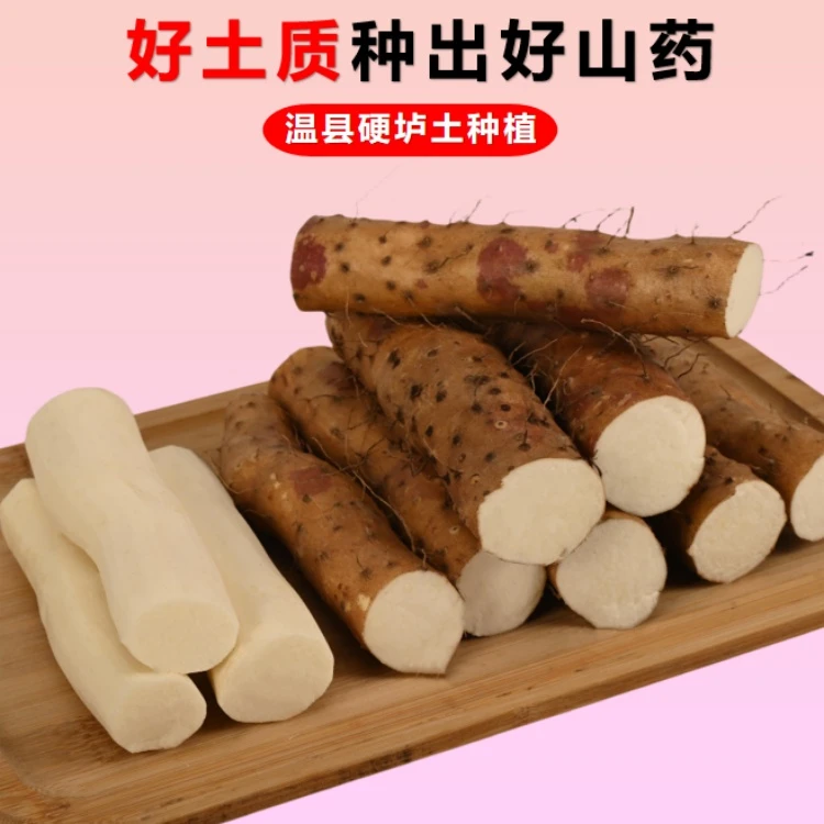 产地直发正宗焦作温县垆土铁棍怀山药温县特产铁杆新鲜净重五斤