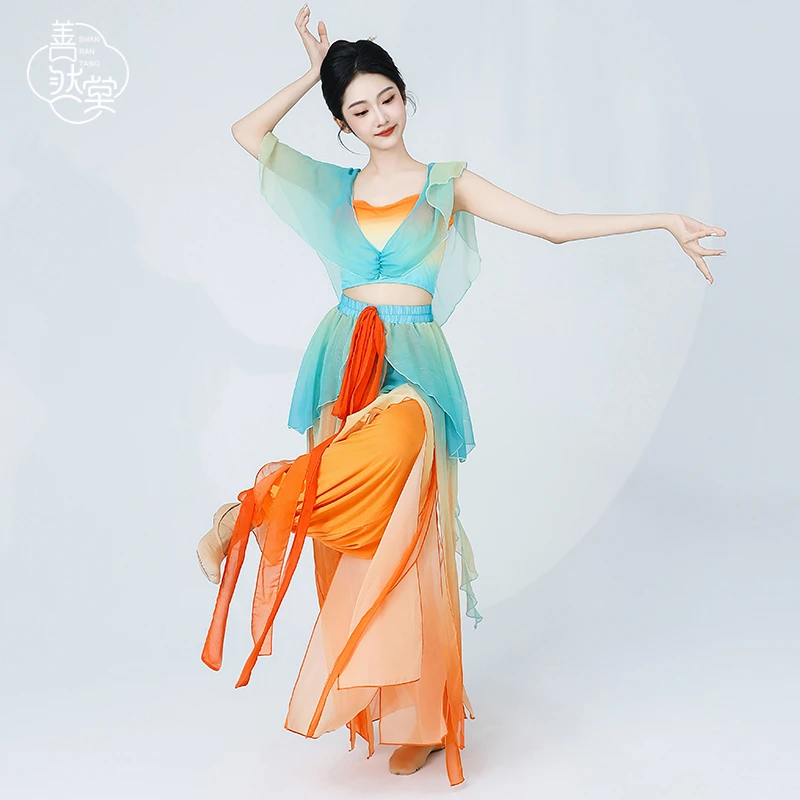 善然堂古典舞蹈服飘逸女成人练功服敦煌舞蹈服雪纺纱衣中国舞演出