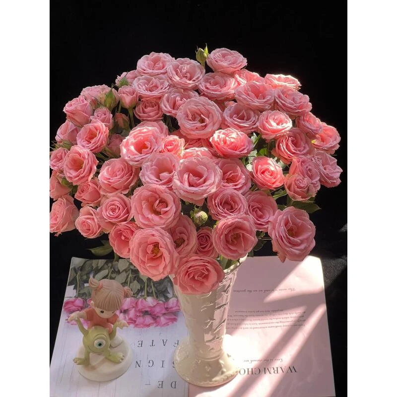 露露公主多头玫瑰（顺丰冷链）