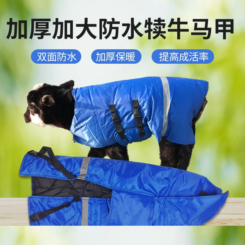 加厚牛津防水犊牛羔羊加厚马甲防寒衣 犊牛羔羊防水加绒外套坎肩