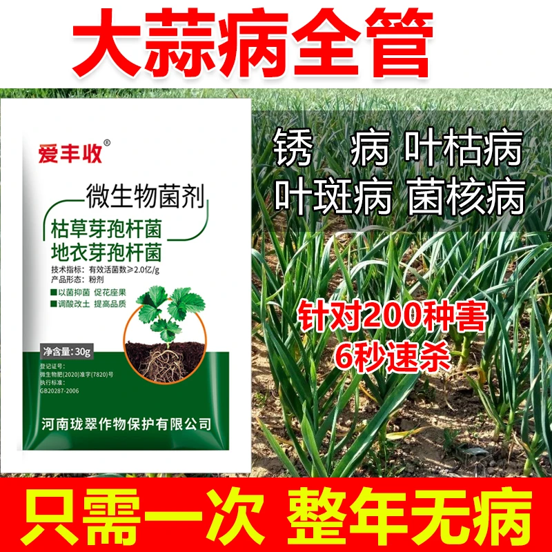 大蒜杀菌剂大蒜病全治大蒜专用药大蒜微生物菌剂大蒜锈病叶枯病